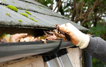 gutter cleaning Horsley Hill, Tyne And Wear
